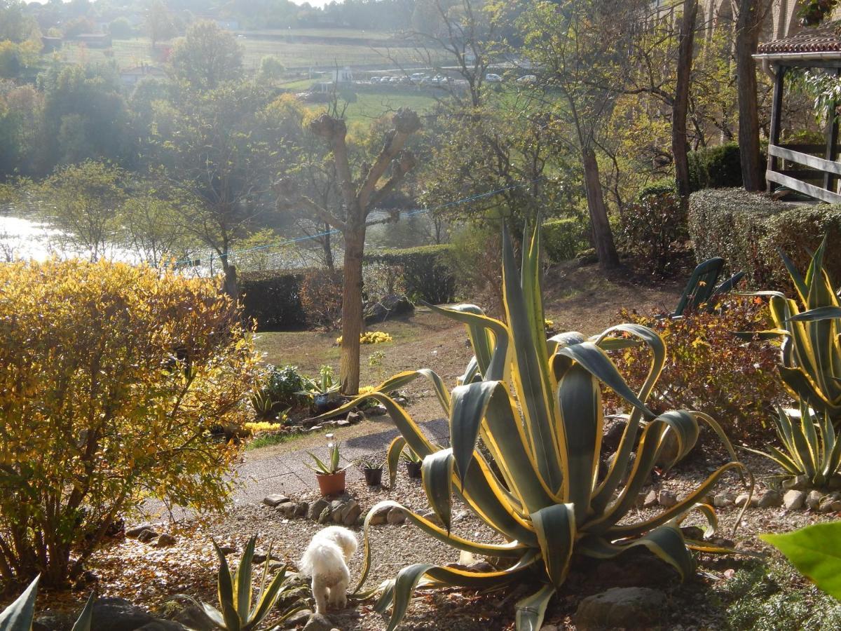 The Petite Chalet Chambre D'Hotes L'Isle-Jourdain  外观 照片