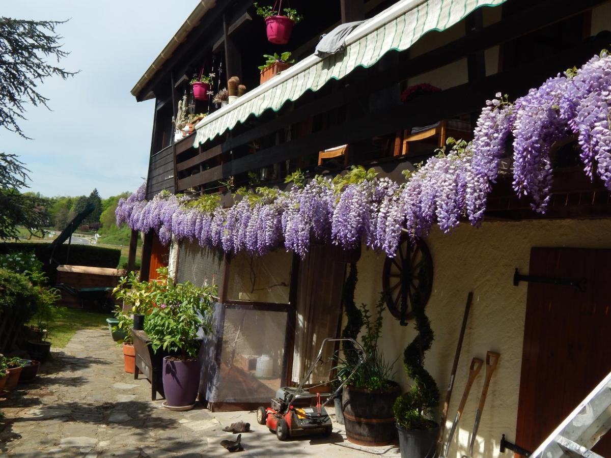 The Petite Chalet Chambre D'Hotes L'Isle-Jourdain  外观 照片