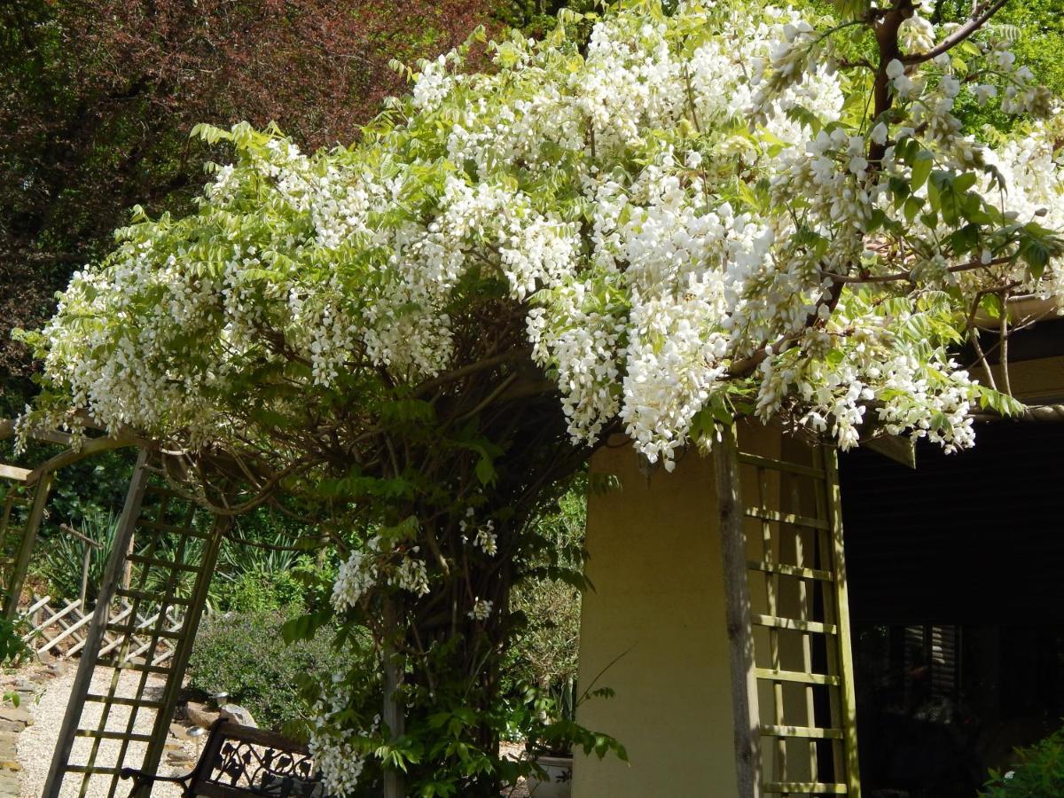 The Petite Chalet Chambre D'Hotes L'Isle-Jourdain  外观 照片