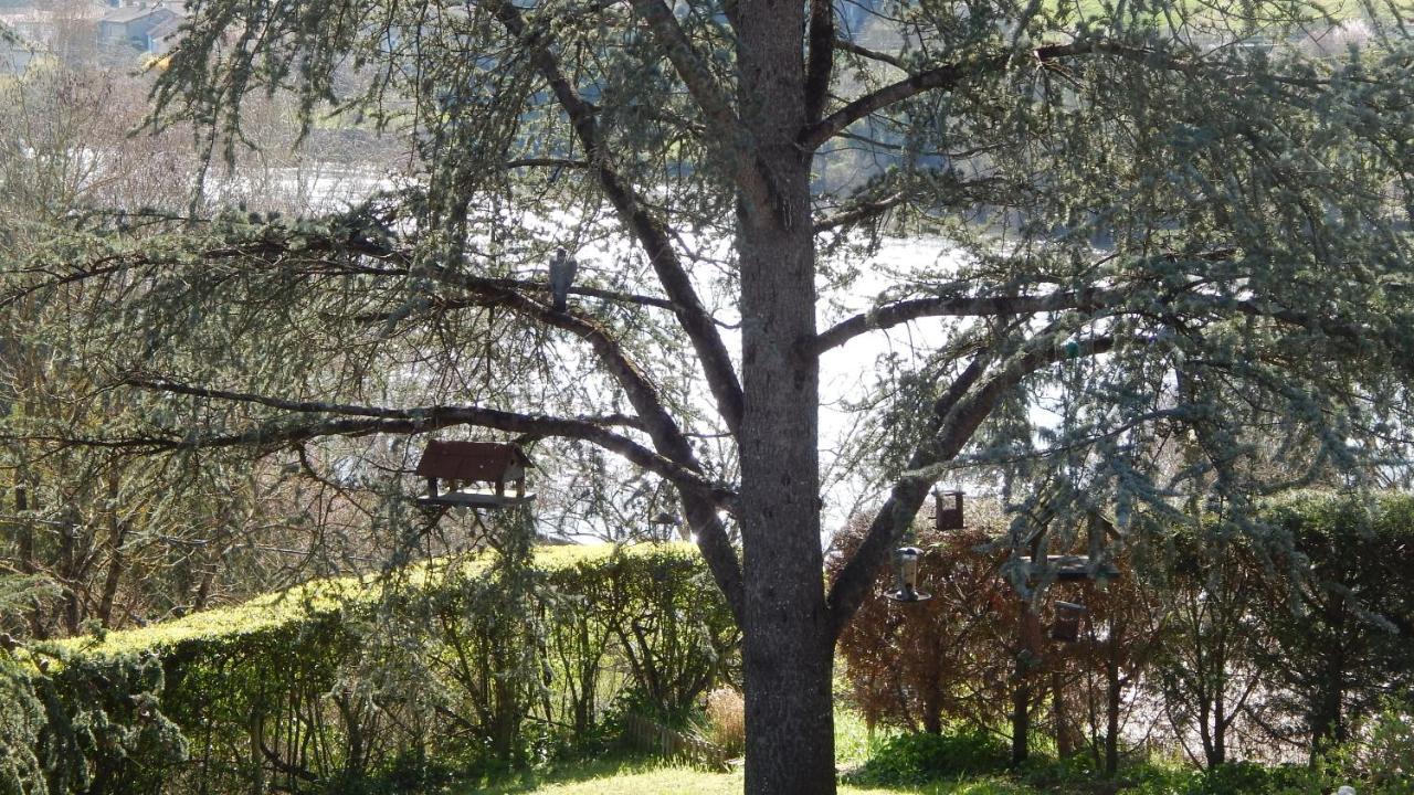 The Petite Chalet Chambre D'Hotes L'Isle-Jourdain  外观 照片